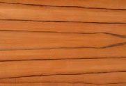 Titan 606 tineo