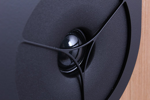 Diffusori Hi-Fi RX1