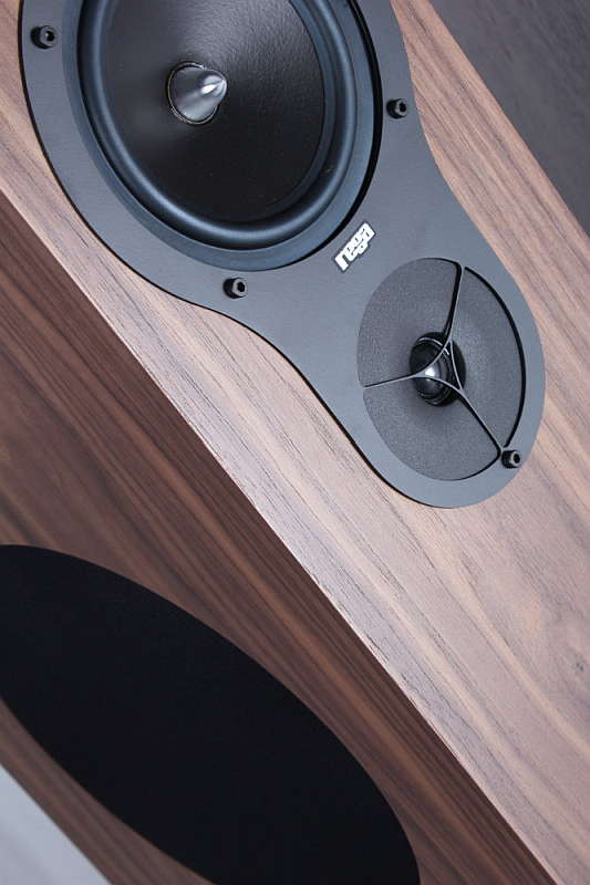 Diffusori Hi-Fi RX5